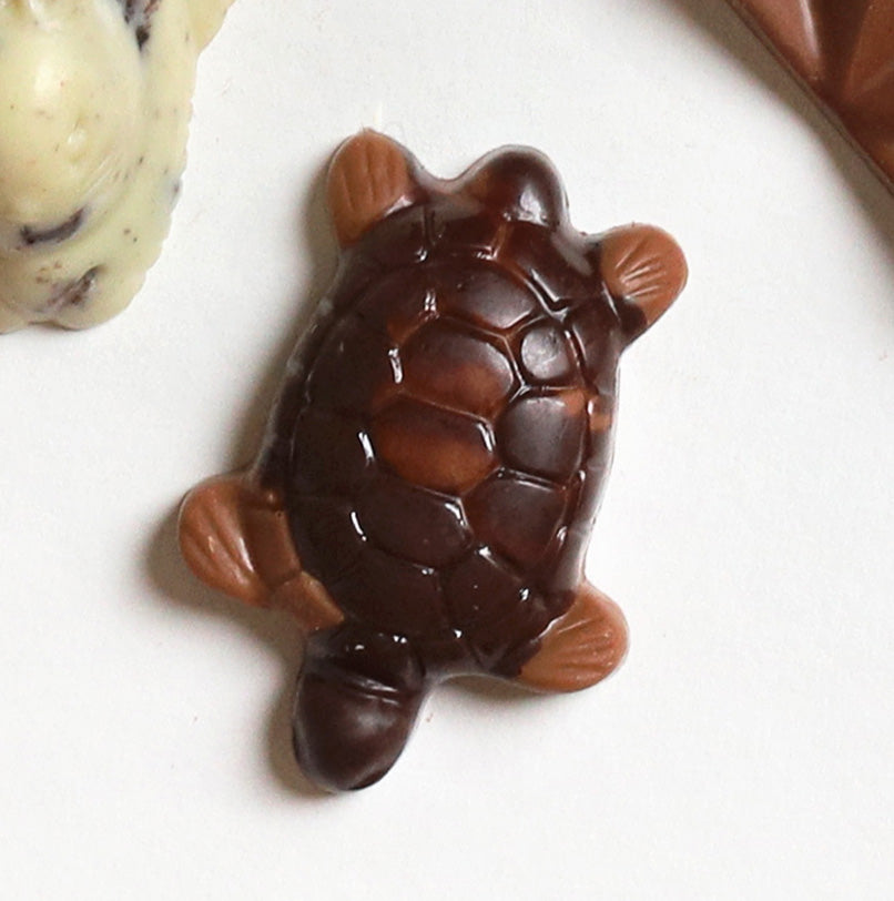 Handcrafted Caramel Chocolate Turtle