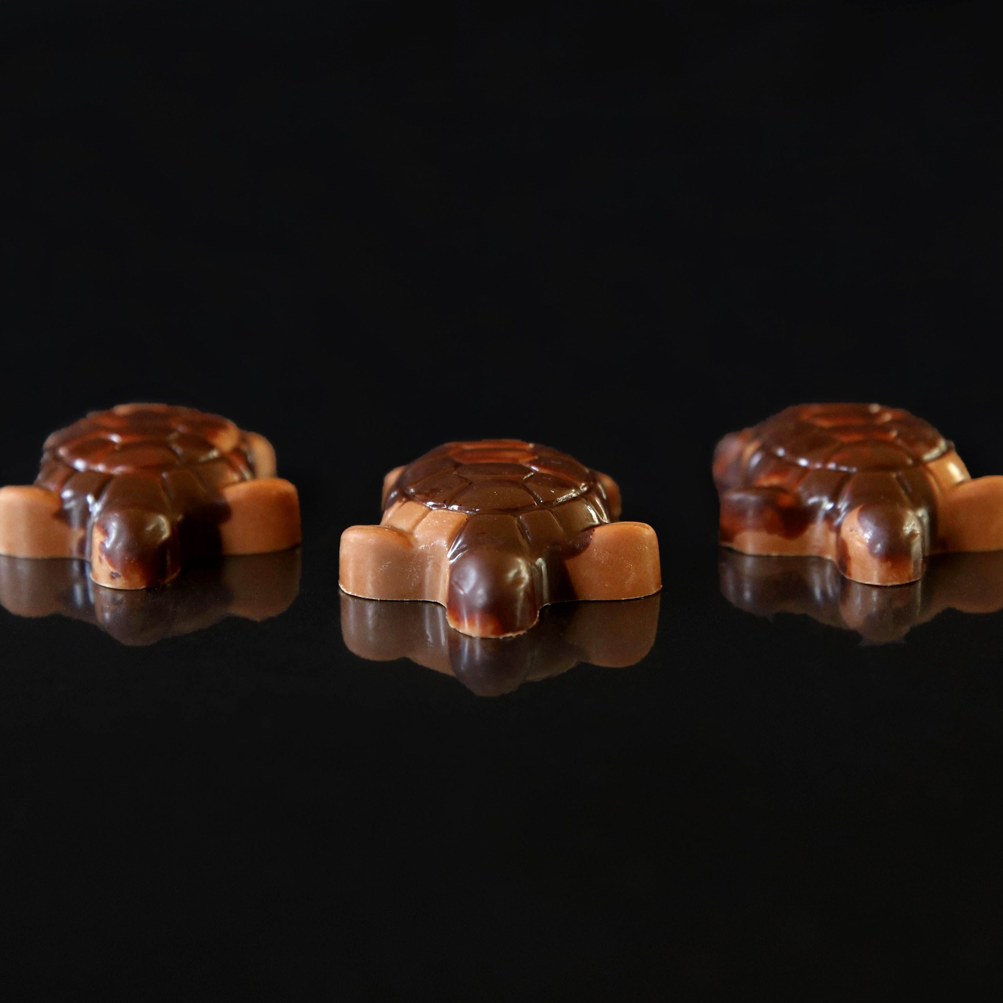 Handcrafted Caramel Turtle 