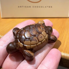 Caramel Turtle